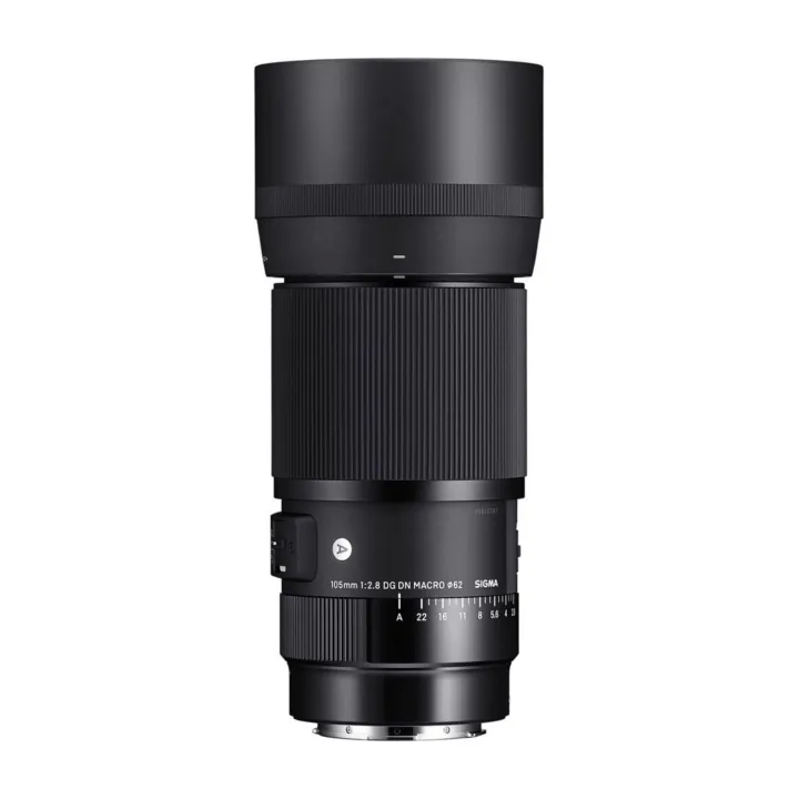Sigma 105mm f/2.8 DG DN Macro Art Lens for L-Mount